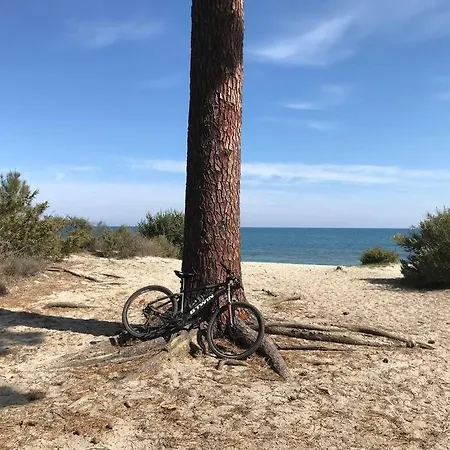 Monte Santu T2 Apartman Prunelli-di-Fiumorbo