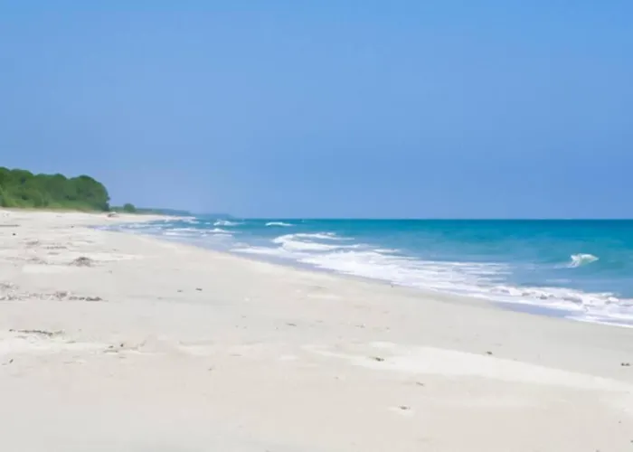 Appartement Monte Santu T2 *