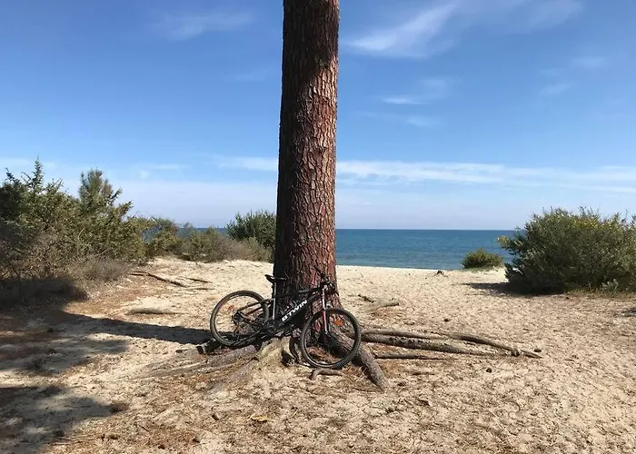 Monte Santu T2 Appartement Prunelli-di-Fiumorbo