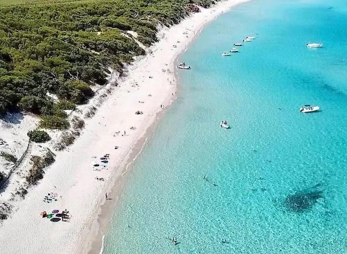 Appartement Monte Santu T2 Prunelli-di-Fiumorbo